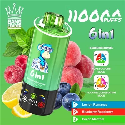 बैंग लीडर 110K