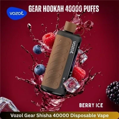 VOZOL गियर हुक्का 40K पफ्स